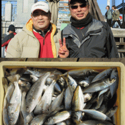 荒川屋 釣果