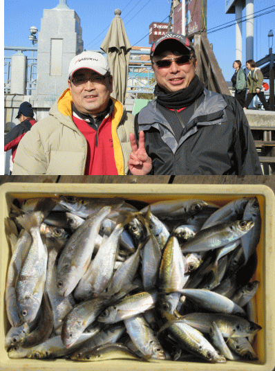 荒川屋 釣果