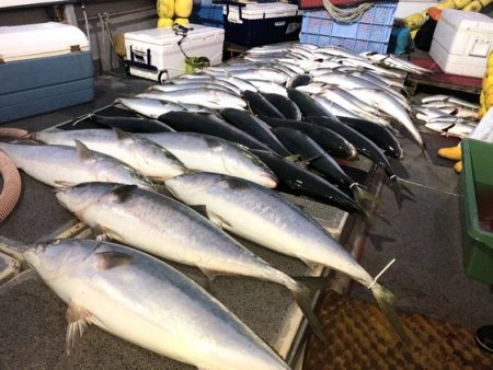 幸風（さちかぜ） 釣果