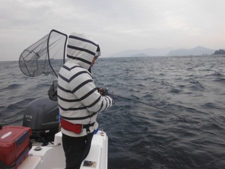 開進丸 釣果