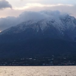 海晴丸 釣果