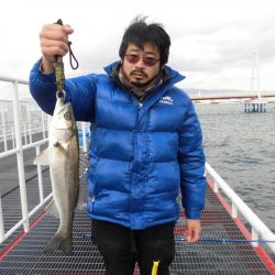 尼崎市立魚つり公園 釣果