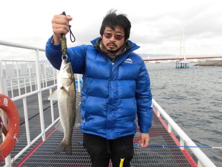 尼崎市立魚つり公園 釣果