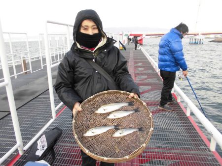 尼崎市立魚つり公園 釣果