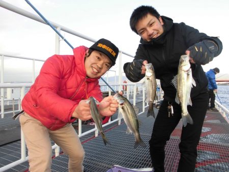 尼崎市立魚つり公園 釣果