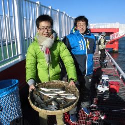 尼崎市立魚つり公園 釣果