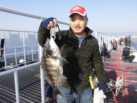 尼崎市立魚つり公園 釣果