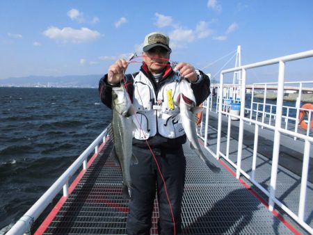 尼崎市立魚つり公園 釣果