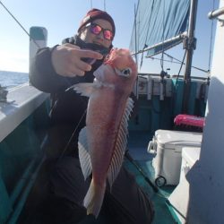 清和丸 釣果