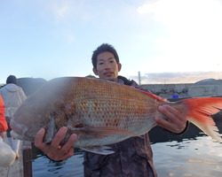 久里浜黒川本家 釣果