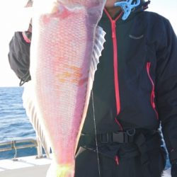 海晴丸 釣果