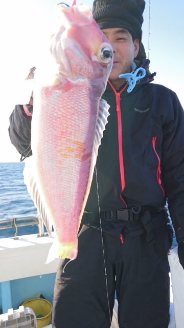 海晴丸 釣果