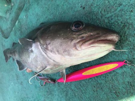 広進丸 釣果