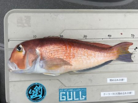 へいみつ丸 釣果