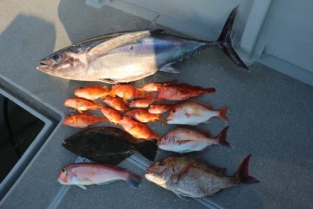 へいみつ丸 釣果