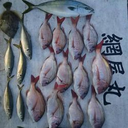 網屋丸 釣果