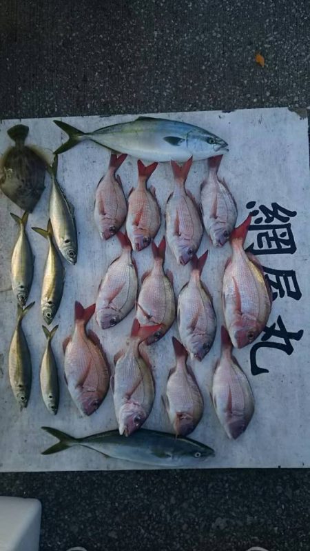 網屋丸 釣果