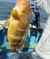 松福丸 釣果