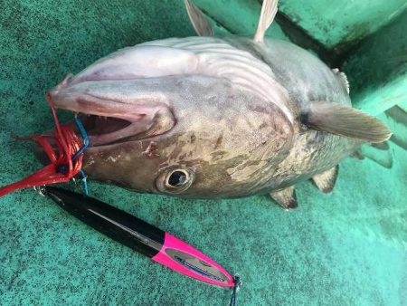 広進丸 釣果