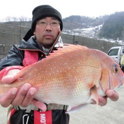 大進丸（新潟） 釣果