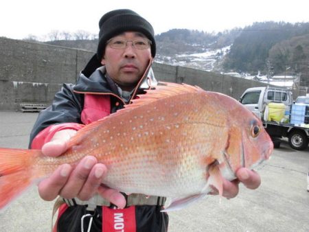 大進丸（新潟） 釣果