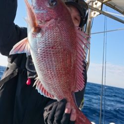 海晴丸 釣果