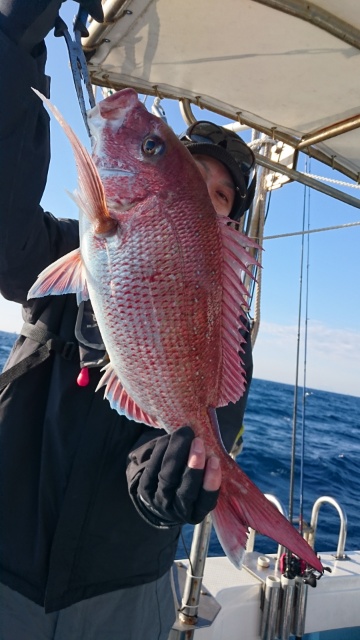 海晴丸 釣果