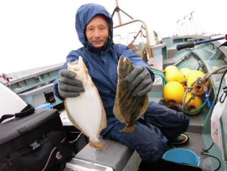 大進丸（愛知） 釣果