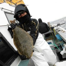 大進丸（愛知） 釣果