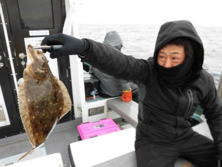 大進丸（愛知） 釣果