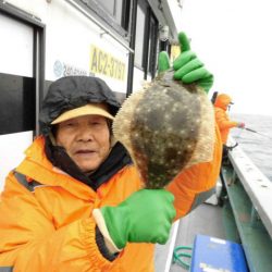 大進丸（愛知） 釣果