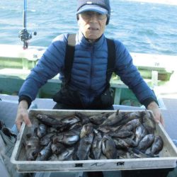 大進丸（愛知） 釣果