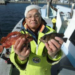 大進丸（愛知） 釣果