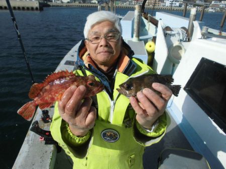 大進丸（愛知） 釣果