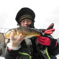 大進丸（愛知） 釣果