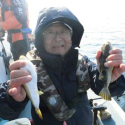 大進丸（愛知） 釣果