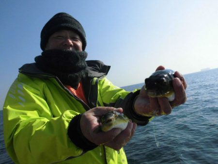 大進丸（愛知） 釣果