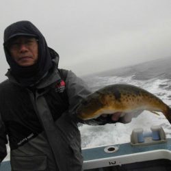 大進丸（愛知） 釣果