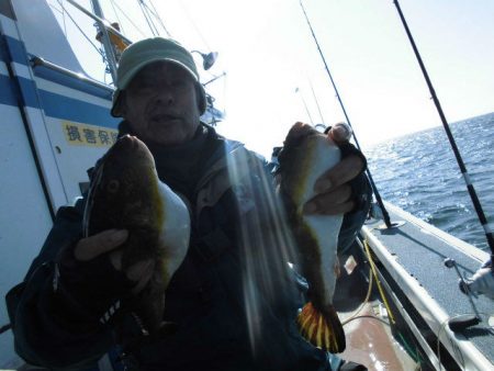 大進丸（愛知） 釣果