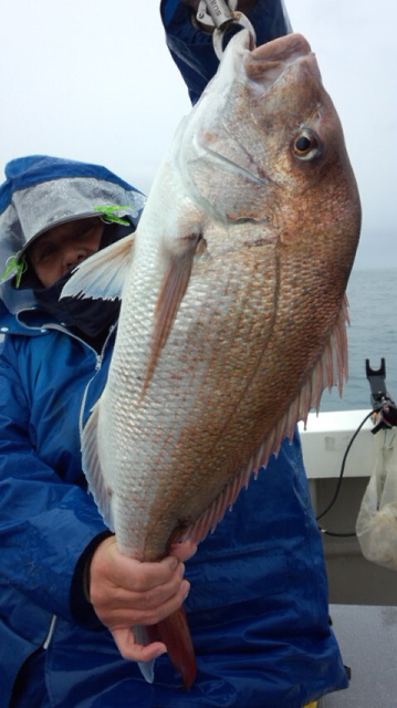 泰丸 釣果