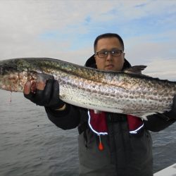 ＨＡＲＵＫＡ丸　はるかまる 釣果