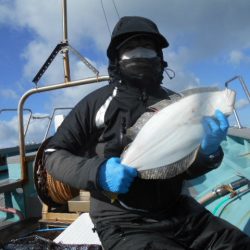 大進丸（愛知） 釣果