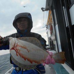 大進丸（愛知） 釣果