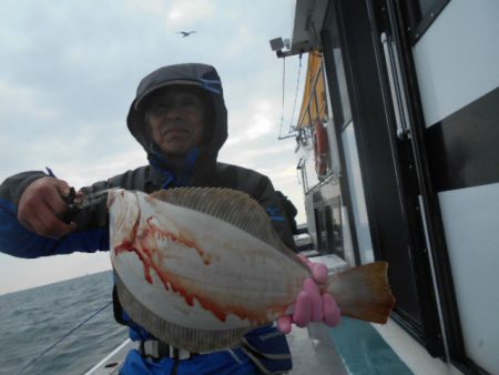 大進丸（愛知） 釣果