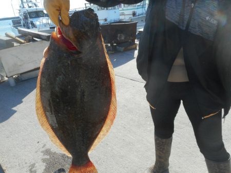 大進丸（愛知） 釣果