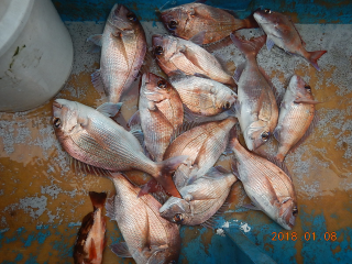 作十丸 釣果