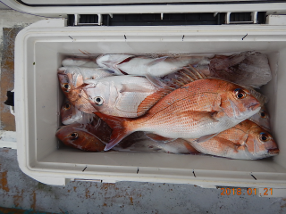 作十丸 釣果