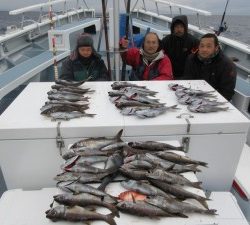 太郎丸 釣果