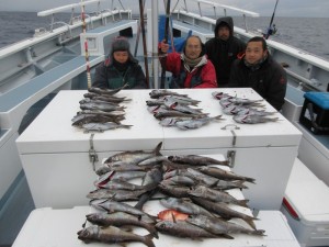 太郎丸 釣果