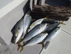 えすぽあ 釣果